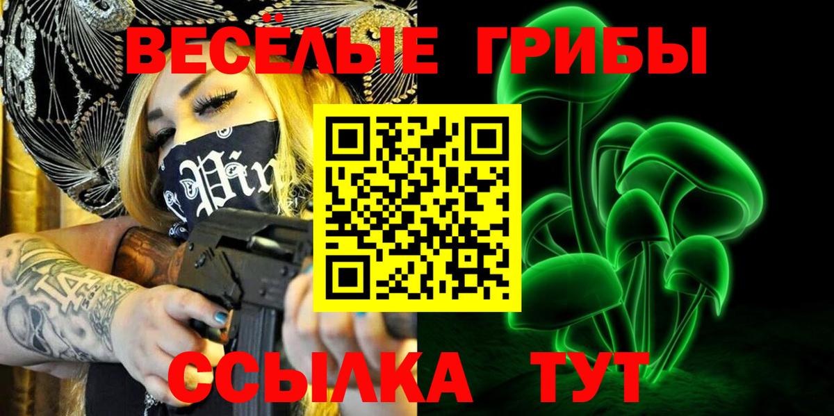 Псилоцибиновые грибы Psilocybe  Вход с VPN  Керчь 