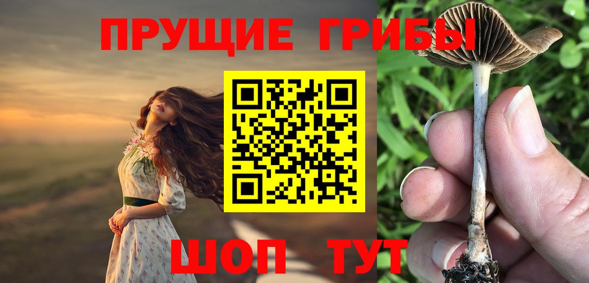 Псилоцибиновые грибы Psilocybine cubensis Керчь